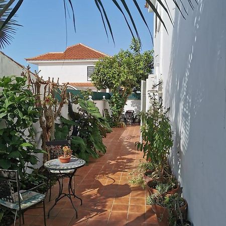 Apartamento jardin44 Santa Úrsula Exterior foto