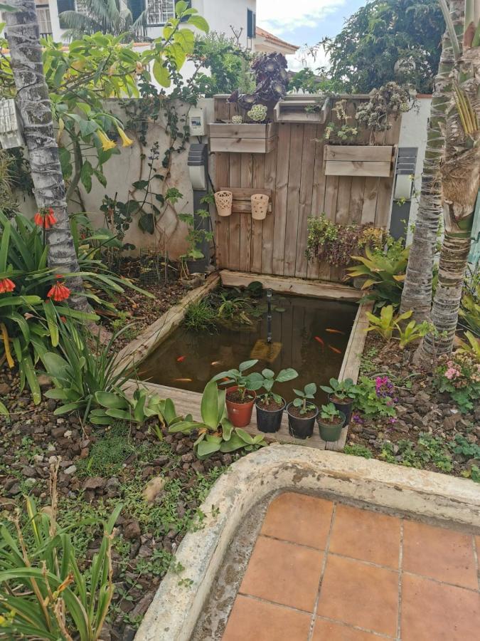 Apartamento jardin44 Santa Úrsula Exterior foto