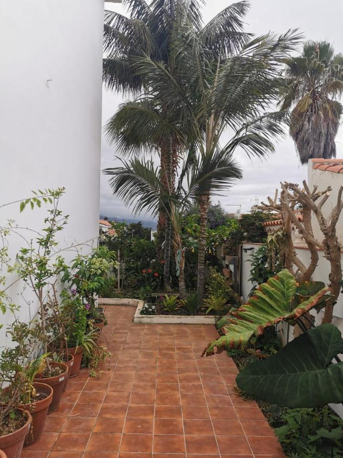 Apartamento jardin44 Santa Úrsula Exterior foto